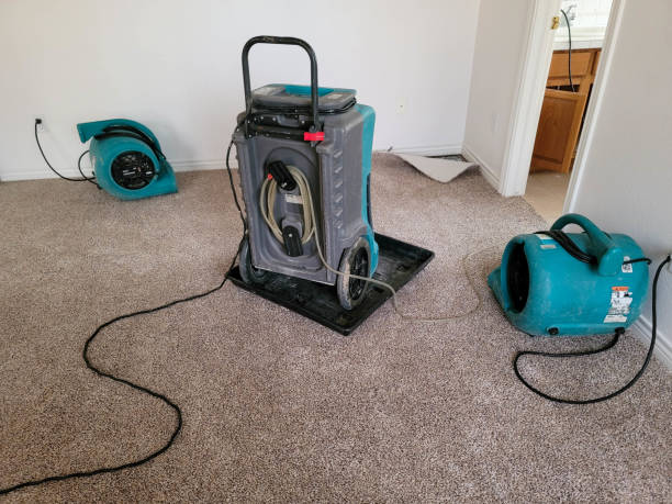 Best Residential water damage restoration  in Gadsden, AL