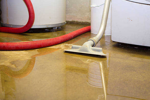 Best Mold removal after water damage  in Gadsden, AL