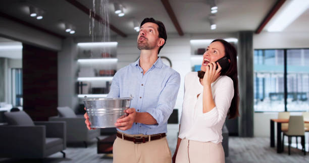 Best Water damage contractors near me  in Gadsden, AL