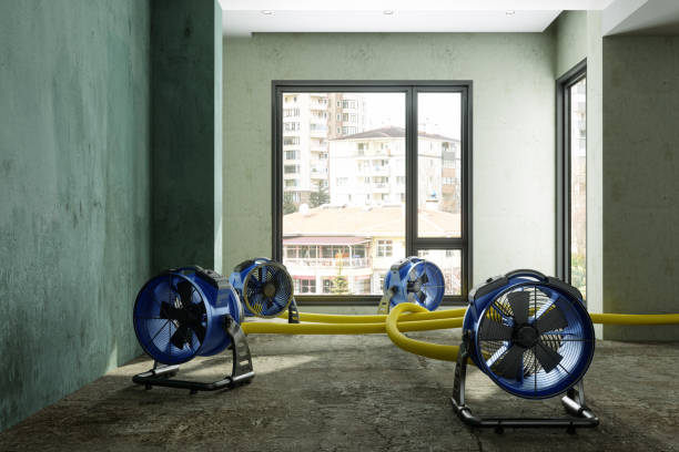 Best 24-hour water damage restoration  in Gadsden, AL